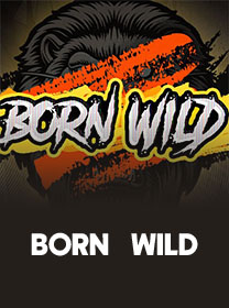 Born Wild Game Terbaru: Review, RTP, dan Akses Main game cover